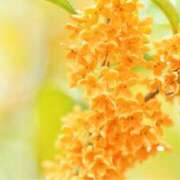 ヒメ日記 2025/10/01 22:38 投稿 紀香 ローテンブルク