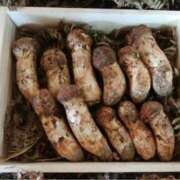 ヒメ日記 2025/10/22 08:24 投稿 紀香 ローテンブルク