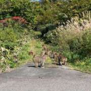 ヒメ日記 2025/10/25 07:19 投稿 紀香 ローテンブルク