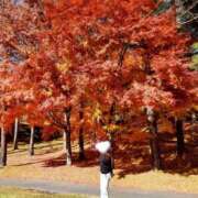 ヒメ日記 2025/11/17 07:44 投稿 紀香 ローテンブルク