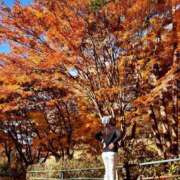 ヒメ日記 2025/11/21 22:02 投稿 紀香 ローテンブルク