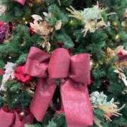 ヒメ日記 2025/11/25 20:28 投稿 紀香 ローテンブルク