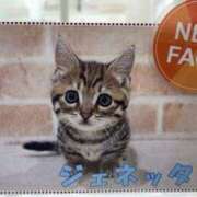 ヒメ日記 2026/01/18 22:03 投稿 紀香 ローテンブルク