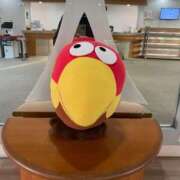 ヒメ日記 2026/03/09 08:36 投稿 紀香 ローテンブルク