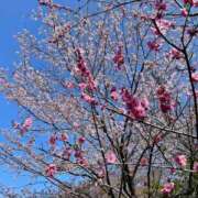 ヒメ日記 2026/03/12 22:22 投稿 紀香 ローテンブルク