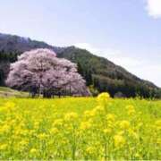 ヒメ日記 2026/03/14 08:34 投稿 紀香 ローテンブルク