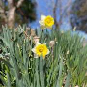 ヒメ日記 2026/03/16 08:18 投稿 紀香 ローテンブルク