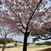 ヒメ日記 2026/03/24 15:46 投稿 紀香 ローテンブルク