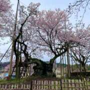 ヒメ日記 2026/03/27 08:39 投稿 紀香 ローテンブルク