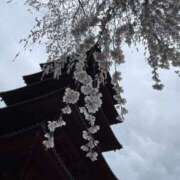 ヒメ日記 2026/03/28 06:16 投稿 紀香 ローテンブルク