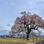 ヒメ日記 2026/03/30 13:55 投稿 紀香 ローテンブルク