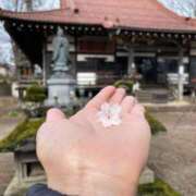 ヒメ日記 2026/03/31 06:00 投稿 紀香 ローテンブルク