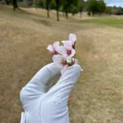 ヒメ日記 2026/04/01 17:47 投稿 紀香 ローテンブルク
