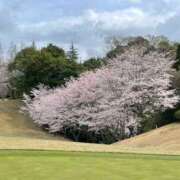 ヒメ日記 2026/04/02 09:50 投稿 紀香 ローテンブルク