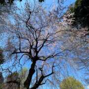 ヒメ日記 2026/04/03 13:49 投稿 紀香 ローテンブルク