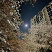 ヒメ日記 2026/04/04 06:04 投稿 紀香 ローテンブルク