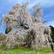 紀香 ＊紀香通信＊ ローテンブルク