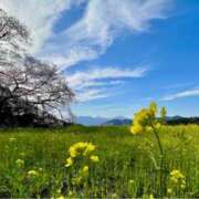 紀香 ＊紀香通信＊ ローテンブルク