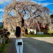 ヒメ日記 2026/04/16 14:13 投稿 紀香 ローテンブルク