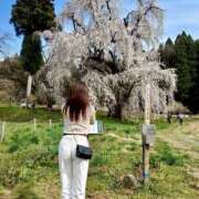 ヒメ日記 2026/04/18 06:07 投稿 紀香 ローテンブルク