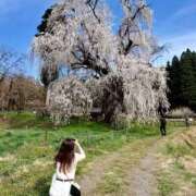 ヒメ日記 2026/04/25 07:30 投稿 紀香 ローテンブルク