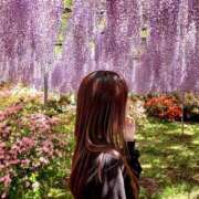 ヒメ日記 2026/04/29 05:42 投稿 紀香 ローテンブルク