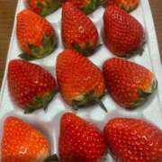 ヒメ日記 2025/02/21 20:58 投稿 一之瀬茜 ローテンブルク