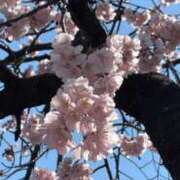 ヒメ日記 2025/03/10 17:49 投稿 一之瀬茜 ローテンブルク