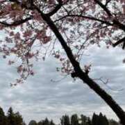 ヒメ日記 2025/03/14 20:48 投稿 一之瀬茜 ローテンブルク