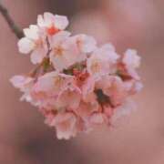 ヒメ日記 2025/03/23 21:45 投稿 一之瀬茜 ローテンブルク