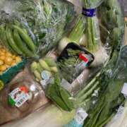 ヒメ日記 2025/04/04 19:10 投稿 一之瀬茜 ローテンブルク