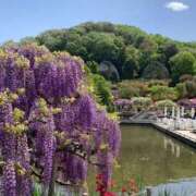 ヒメ日記 2025/04/23 10:36 投稿 一之瀬茜 ローテンブルク