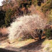 一之瀬茜 おはようございます ローテンブルク