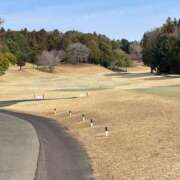 ヒメ日記 2026/03/13 09:32 投稿 一之瀬茜 ローテンブルク