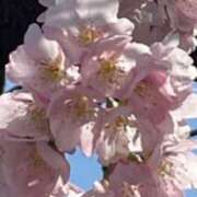 ヒメ日記 2026/03/30 13:14 投稿 一之瀬茜 ローテンブルク