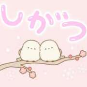 ヒメ日記 2026/04/01 12:35 投稿 一之瀬茜 ローテンブルク