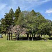 ヒメ日記 2026/04/17 22:02 投稿 一之瀬茜 ローテンブルク