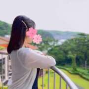 桜谷凛 明日☘️ ローテンブルク