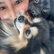 ヒメ日記 2025/02/13 21:25 投稿 藤谷香文 ローテンブルク