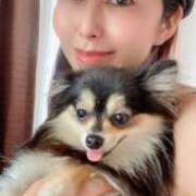 ヒメ日記 2025/02/16 21:07 投稿 藤谷香文 ローテンブルク