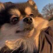 ヒメ日記 2025/02/19 20:22 投稿 藤谷香文 ローテンブルク