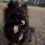 ヒメ日記 2025/02/21 22:06 投稿 藤谷香文 ローテンブルク