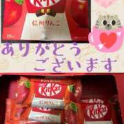 ヒメ日記 2025/02/22 10:49 投稿 藤谷香文 ローテンブルク