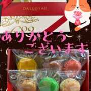 ヒメ日記 2025/02/24 22:40 投稿 藤谷香文 ローテンブルク