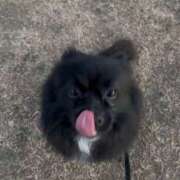 ヒメ日記 2025/02/25 11:34 投稿 藤谷香文 ローテンブルク