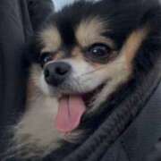 ヒメ日記 2025/02/27 22:01 投稿 藤谷香文 ローテンブルク