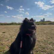 ヒメ日記 2025/03/09 19:41 投稿 藤谷香文 ローテンブルク