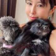 ヒメ日記 2025/03/11 12:11 投稿 藤谷香文 ローテンブルク