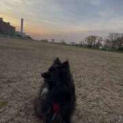 ヒメ日記 2025/03/14 08:46 投稿 藤谷香文 ローテンブルク