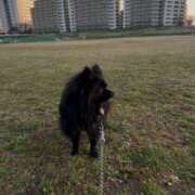 ヒメ日記 2025/03/22 21:04 投稿 藤谷香文 ローテンブルク